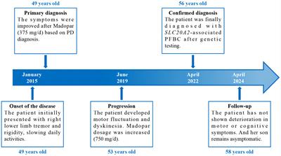 Primary familial brain calcification presenting with parkinsonism and motor complications caused by a novel SLC20A2 variant: a case report